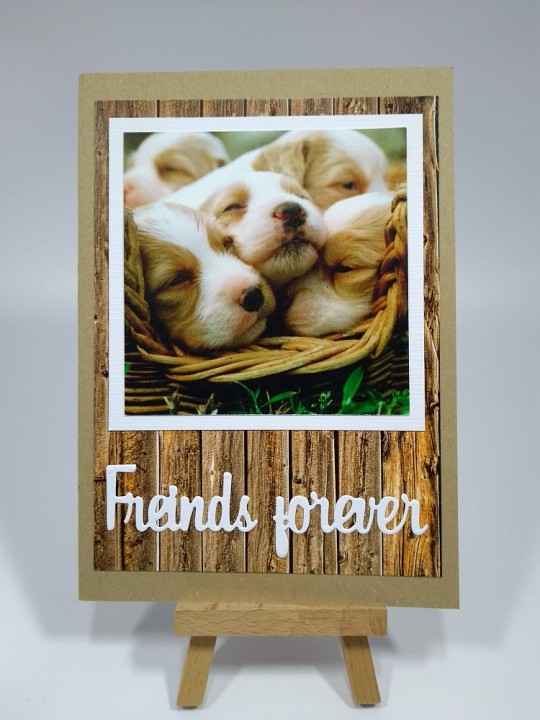 Freundschaftskarte-Friends-forever
